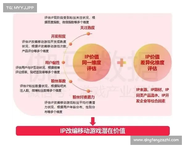 中国女排联赛商业价值深度分析与未来发展潜力评估报告 中国女排联赛商业价值深度分析与未来发展潜力评估报告